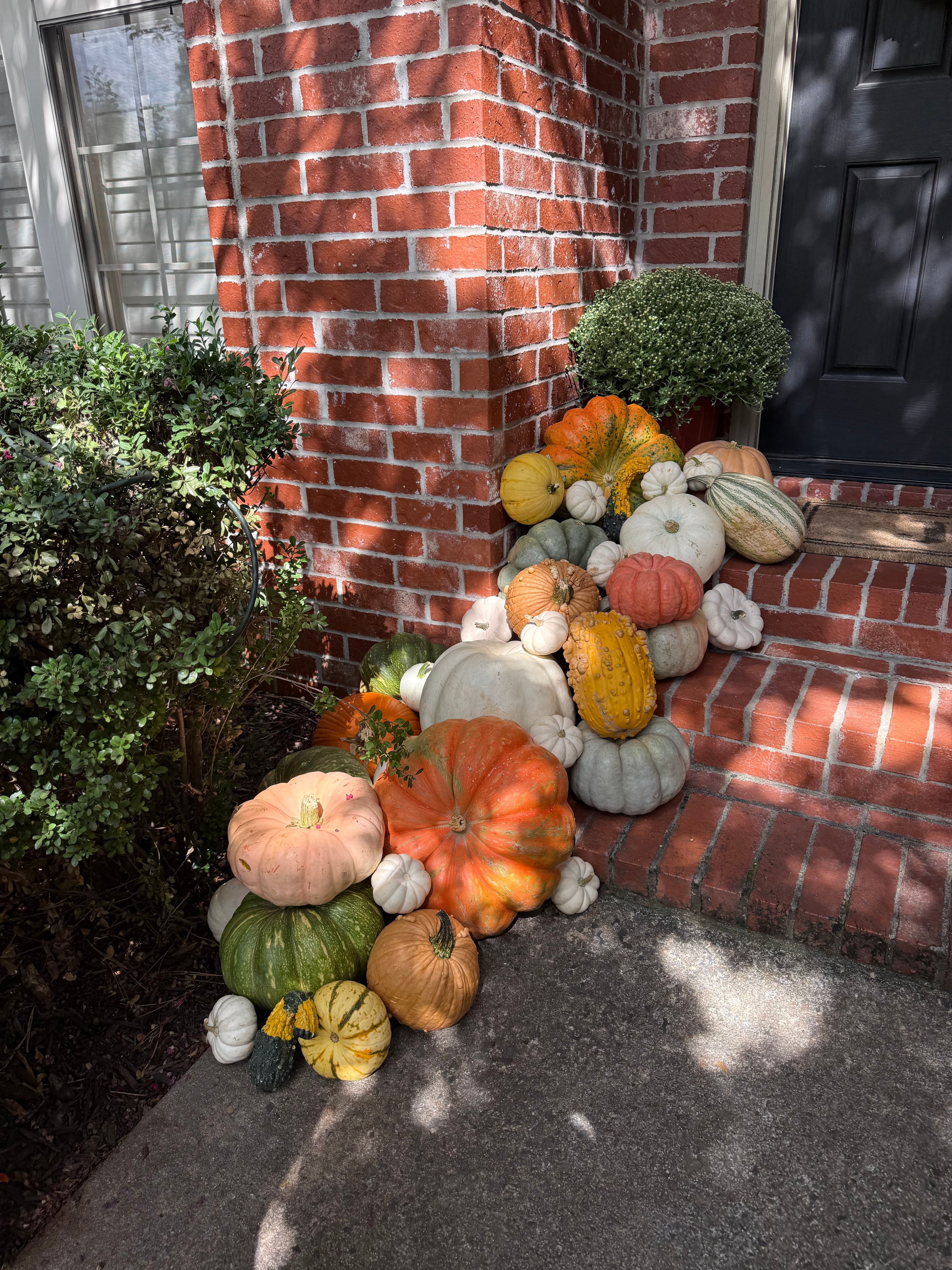 Terracotta & Gourds